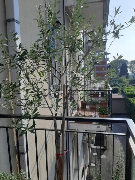 Mice Ottima Soluzione Per Il Centro E La Svizzera Apartment Como Ngoại thất bức ảnh